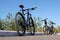 Kostanay, Kazakhstan, 2019-10-06. Bicycles are parked near the curb on the pavement. Sports bikes on the background of fir trees