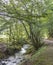 Kostina River, Ribaritsa village, Bulgaria