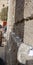 Kotel Western Wall in Jerusalem Israel