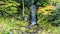 Kotoji Lantern in Kenrokuen garden