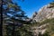 Kotor - Fir tree branches with scenic view of mountain peak of Derinski Vrh, Montenegro. Forest walk