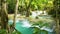 Kouang Si Waterfall, Laos, Luang Prabang. Thickets of tropical trees