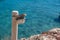 Koufonisia island, Cyclades, Greece. Lamppost, wooden small pole with lamp, blur sea. Overhead view