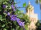 Koutoubia Mosque and its beautiful Minaret in Marrakech Morocco