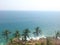 Kovalam beach cliff and coconut tree kerala