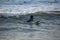 Kovalam, Chennai, Tamilnadu, India - â€Žâ€ŽAugust 9th â€Ž2021: Young boy Indian surfer surfing and practicing on the beach waves