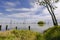 Kow Swamp, Victoria Australia. Water scene with dead trees on cloudy day