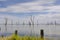 Kow Swamp, Victoria Australia. Water scene with dead trees on cloudy day