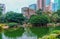 Kowloon Park in Hong Kong. Daylight cityscape. Pink flamingoes hunting in the pond. City landmark