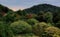 Koyasu Pagoda among the forests and the mountains