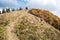 Kozi chrbat hill in autumn Starohorske vrchy mountains near Donovaly resort in Slovakia