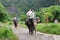 KRABI, THAILAND - OCTOBER 28, 2013: Tourists on elephants trekking.