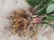 Krachai, Boesenbergia rotunda fingerroot, lesser galangal or Chinese ginger, is a medicinal and culinary herb from China and