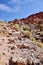 Kraft Mountain, Red Rock Conservation Area, Southern Nevada, USA