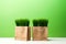 Kraft paper sale bags full of green grass. Green friday, sustainable consumption, sustainability, zero waste and sale concept.