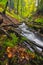 Kralicka tiesnava gorge at Kremnicke Vrchy mountains