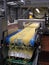 Krasnodar, Russia - August 3, 2005: Bonduelle maize processing factory. Raw fresh corn fed on with production line conveyor