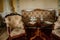 Krasny Dvur Chateau, North Bohemia, Czech Republic, 19 June 2021: Castle interior, Biedermeier furniture in living room wooden
