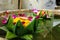 Krathong ,hand crafted floating basket by banana leaf,decorated with flowers and incense sticks, candle,