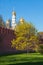 The Kremlin and Bell tower of Ivan the Great in Moscow