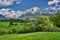 Krivan mountain and blossoming Bird cherry trees