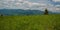 Krivanska Mala Fatra mountains from Magura hill in Velka Fatra mountains in Slovakia