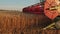 Krivoy Rog, Ukraine - 07.18.2021 harvester harvests wheat. harvesting, agricultural industry, sunset in the field.