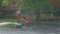 Krivoy Rog, Ukraine - June 08. 2021 : a repair team removes a blockage in the sewer that has caused flooding of several