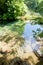 Krka, Sibenik, Croatia - Trouts swimming in line with the courrent of Krka river