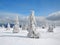 KrkonoÅ¡e mountains frozen trees.