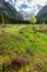 Krma valley in the Slovenian Alps