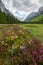 Krma valley in the Slovenian Alps