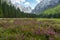 Krma valley in the Slovenian Alps