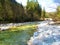 Krnica river flowing through a forest