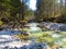 Krnica river flowing through a forest