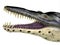 Kronosaurus Reptile Head