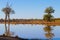 Kruger National Park, reflections on lake