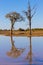 Kruger National Park, reflections on lake