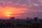 Kruger Sunrise