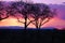 Kruger Sunset