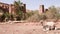 The Ksar Kasbah Ait Benhaddou in Morocco.