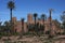 Ksar in Skoura with palm trees