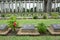 KTAUK KYANT, MYANMAR - JULY 29: War graves at the Htauk Kyant war cemetery on JULY 29, 2015 in Ktauk Kyant, Myanmar. The cemetery