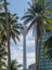 Kuala Lumpur Tower in betwen buildings and coconut trees