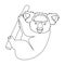 Kuala, marsupial bear on a branch of eucalyptus. Wild mammal of koala single icon in outline style vector symbol stock