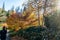 Kubota_Autumn_Path