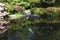 Kubota Japanese garden with pond, Seattle, May
