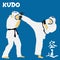 Kudo martial arts fighters illustration