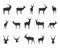 Kudu Silhouette, Kudu Horn Silhouette, Antlers Silhouette, Kudu Head, Kudu SVG , Kudu Head Silhouette
