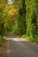 Kudzu, Autumn, Cherokee NF